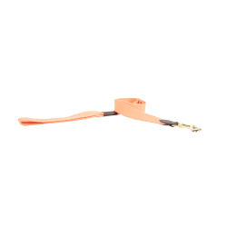 Jacquard-Hundeleine Kentucky Neonorange