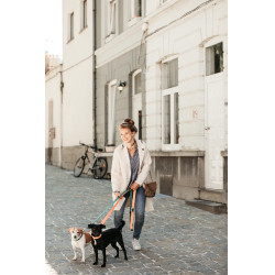 Jacquard-Hundeleine Kentucky Neonorange