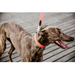 Jacquard-Hundeleine Kentucky Terrakotta Orange Jacquard-Hundeleine Kentucky Terrakotta Orange