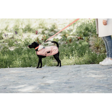 Jacquard-Hundeleine Kentucky Terrakotta Orange Jacquard-Hundeleine Kentucky Terrakotta Orange