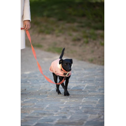 Jacquard-Hundeleine Kentucky Terrakotta Orange Jacquard-Hundeleine Kentucky Terrakotta Orange