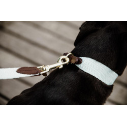 Jacquard-Hundeleine Kentucky Hellblau Jacquard-Hundeleine Kentucky Hellblau