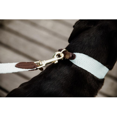 Jacquard-Hundeleine Kentucky Hellblau Jacquard-Hundeleine Kentucky Hellblau