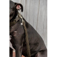 Hundeleine Teddy Fleece 120 cm Kentucky Tannengrün Gr&uuml;n