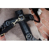 Laisse pour chien Teddy Fleece 120 cm Kentucky Beige