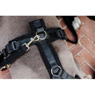 Hundeleine Teddy Fleece 120 cm Kentucky Schwarz