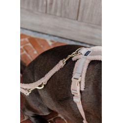 Laisse pour chien Teddy Fleece 200 cm Kentucky Beige Laisse pour chien Teddy Fleece 200 cm Kentucky Beige
