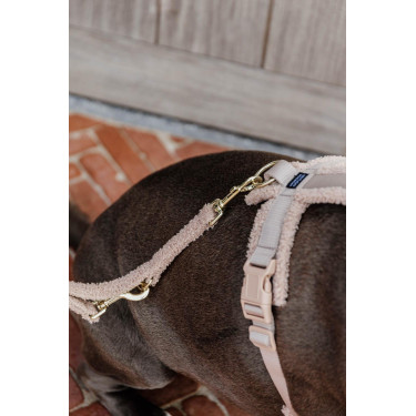 Laisse pour chien Teddy Fleece 200 cm Kentucky Beige Laisse pour chien Teddy Fleece 200 cm Kentucky Beige