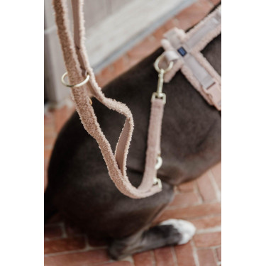 Laisse pour chien Teddy Fleece 200 cm Kentucky Beige Laisse pour chien Teddy Fleece 200 cm Kentucky Beige
