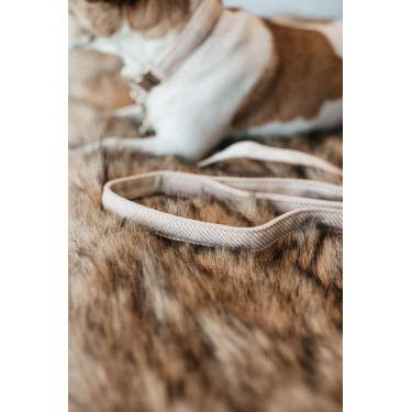 Laisse pour chien Wool Longue Kentucky Beige