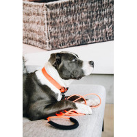 Laisse Soft Rubber Kentucky Neon orange