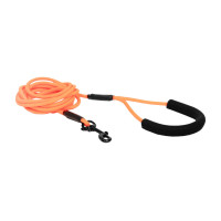 new Neonorange
