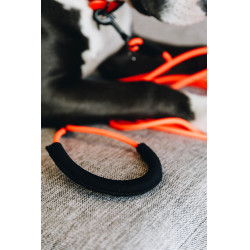 new Neonorange