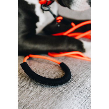 new Neonorange