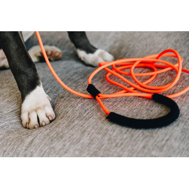 new Neonorange