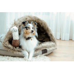Hundebett Igloo Kentucky