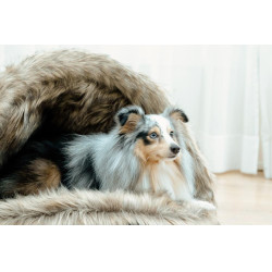 Hundebett Igloo Kentucky Braun