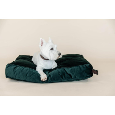 Hundekissen Velvet Kentucky