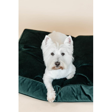 Hundekissen Velvet Kentucky Hundekissen Velvet Kentucky
