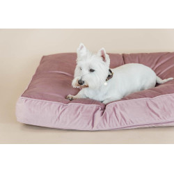 Hundekissen Velvet Kentucky