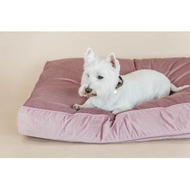 Hundekissen Velvet Kentucky