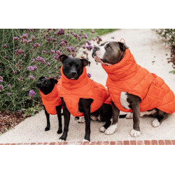 Wintermantel für Hunde Pina Kentucky Wintermantel für Hunde Pina Kentucky