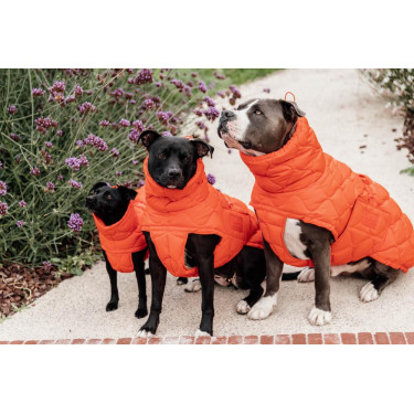 Wintermantel für Hunde Pina Kentucky Wintermantel für Hunde Pina Kentucky