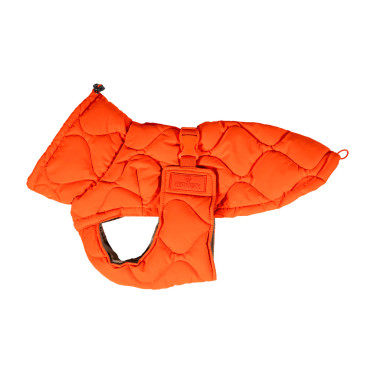 Manteau d'hiver pour chien Pina Kentucky Orange