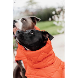 Wintermantel für Hunde Pina Kentucky Wintermantel für Hunde Pina Kentucky