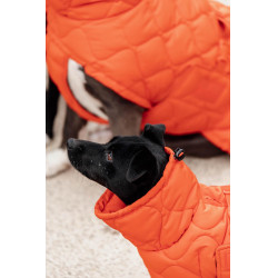 Wintermantel für Hunde Pina Kentucky Wintermantel für Hunde Pina Kentucky