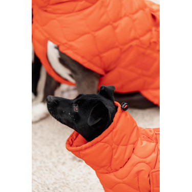 Wintermantel für Hunde Pina Kentucky Wintermantel für Hunde Pina Kentucky