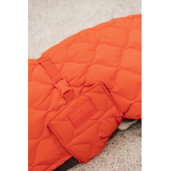 Wintermantel für Hunde Pina Kentucky Wintermantel für Hunde Pina Kentucky