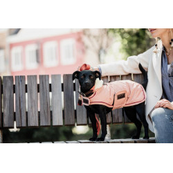 Hundemantel Wasserdicht 160g Kentucky Hundemantel Wasserdicht 160g Kentucky