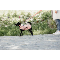 Hundemantel Wasserdicht 160g Kentucky Hundemantel Wasserdicht 160g Kentucky