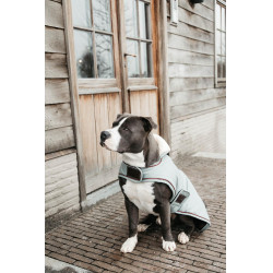 Hundemantel Wasserdicht 160g Kentucky Puderblau