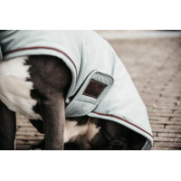 Hundemantel Wasserdicht 160g Kentucky Koralle Rot