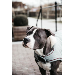 Hundemantel Wasserdicht 160g Kentucky Puderblau