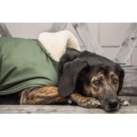Hundemantel Wasserdicht 300g Kentucky Olivgrün Grün Hundemantel Wasserdicht 300g Kentucky Olivgrün Grün