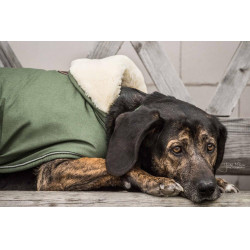 Hundemantel Wasserdicht 300g Kentucky