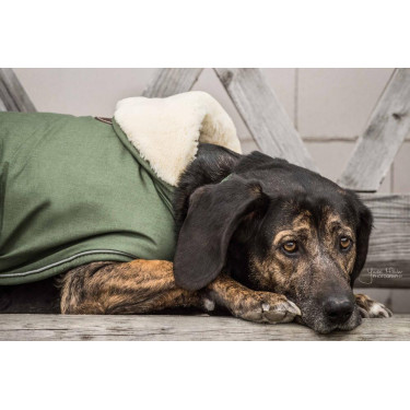 Hundemantel Wasserdicht 300g Kentucky