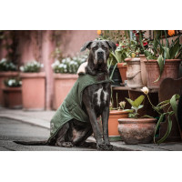 Hundemantel Wasserdicht 300g Kentucky Olivgrün Grün Hundemantel Wasserdicht 300g Kentucky Olivgrün Grün