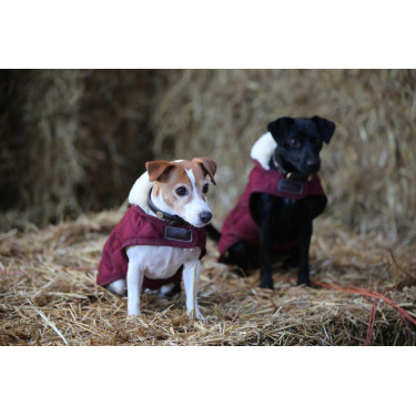Manteau pour chien Original Kentucky Bordeaux