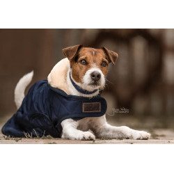 Hundemantel Original Kentucky Hundemantel Original Kentucky