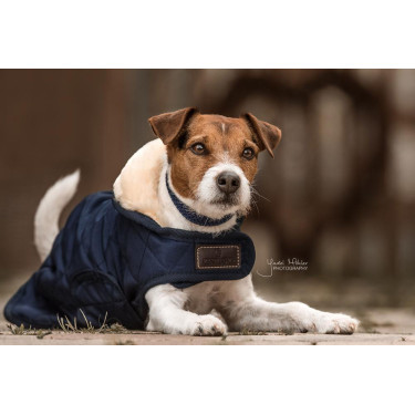 Hundemantel Original Kentucky Hundemantel Original Kentucky