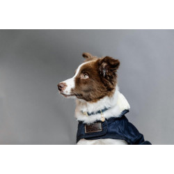 Hundemantel Original Kentucky Hundemantel Original Kentucky