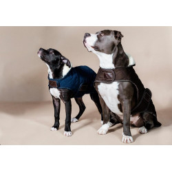 Hundemantel Original Kentucky Hundemantel Original Kentucky