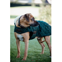Hundemantel Original Kentucky