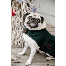 Hundemantel Original Kentucky Dunkelgrün Gr&uuml;n