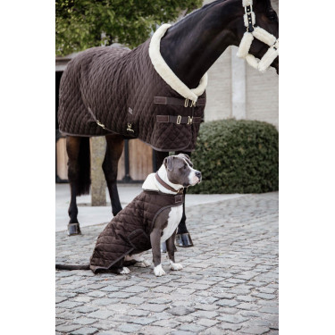 Hundemantel Original Kentucky Braun