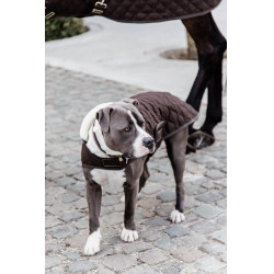 Hundemantel Original Kentucky Braun